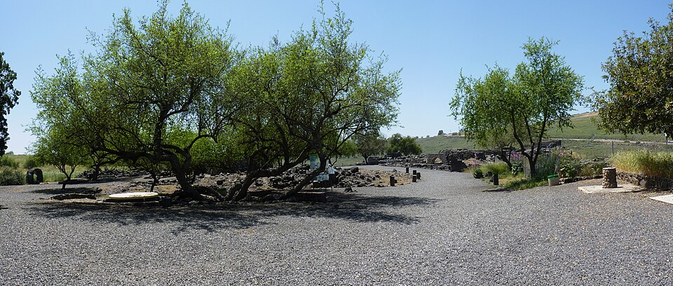 Shaded walking path surrounded by green trees and ancient black basalt structures at the Chorazin archaeological site in Israel.