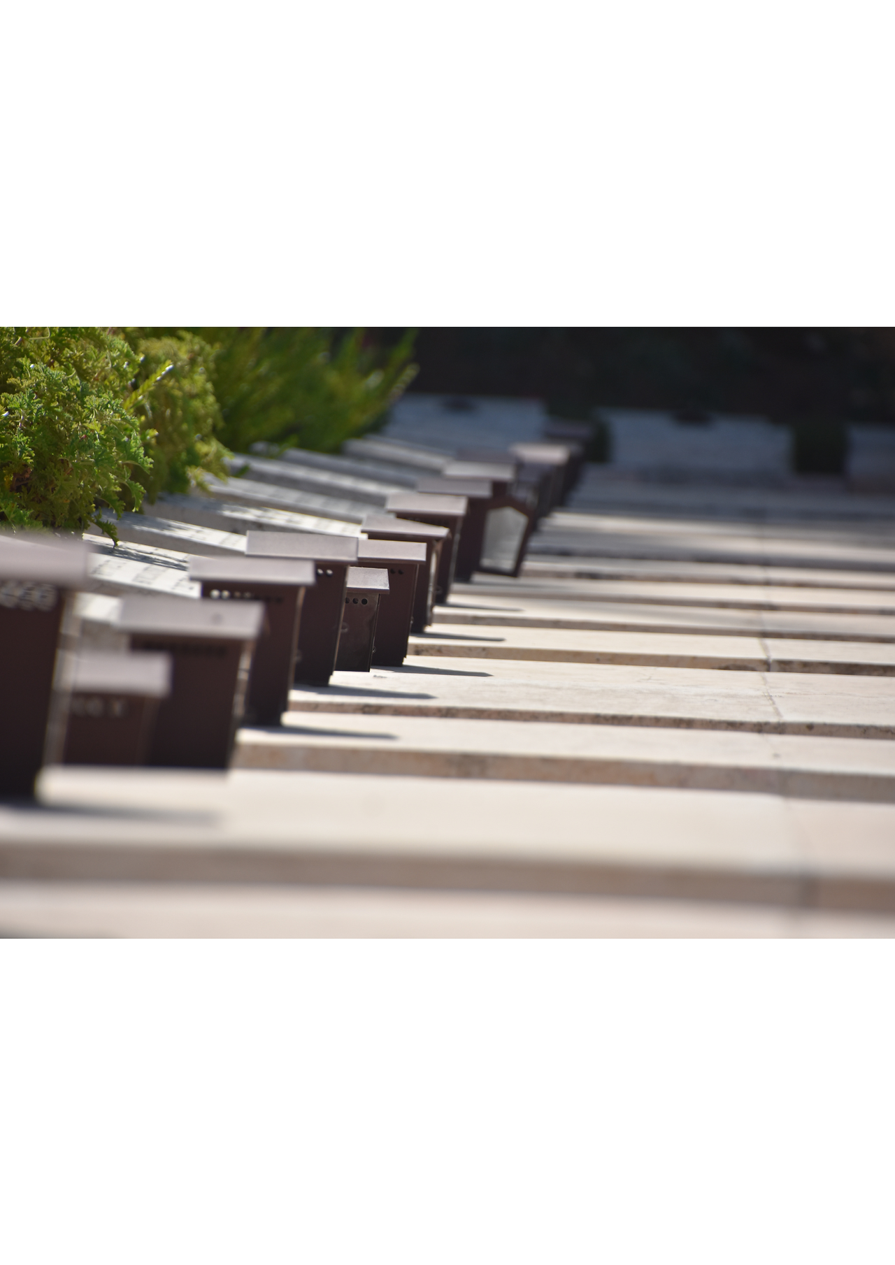 Military graves at Mount Herzl cemetery honoring fallen soldiers of Israel.