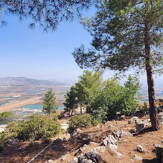 High viewpoint framed by pine trees looking out over the expansive historic Jezreel Valley landscape near Nazareth.