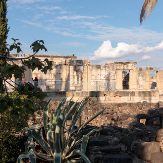 Ancient basalt stone ruins of the residential village at Capernaum, framed by greenery and the Sea of Galilee.
