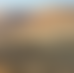 Panoramic view of the Wadi Zin desert riverbed from above.