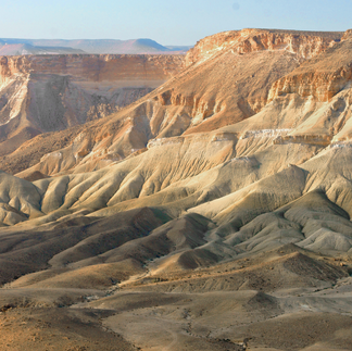 Panoramic view of the Wadi Zin desert riverbed from above.