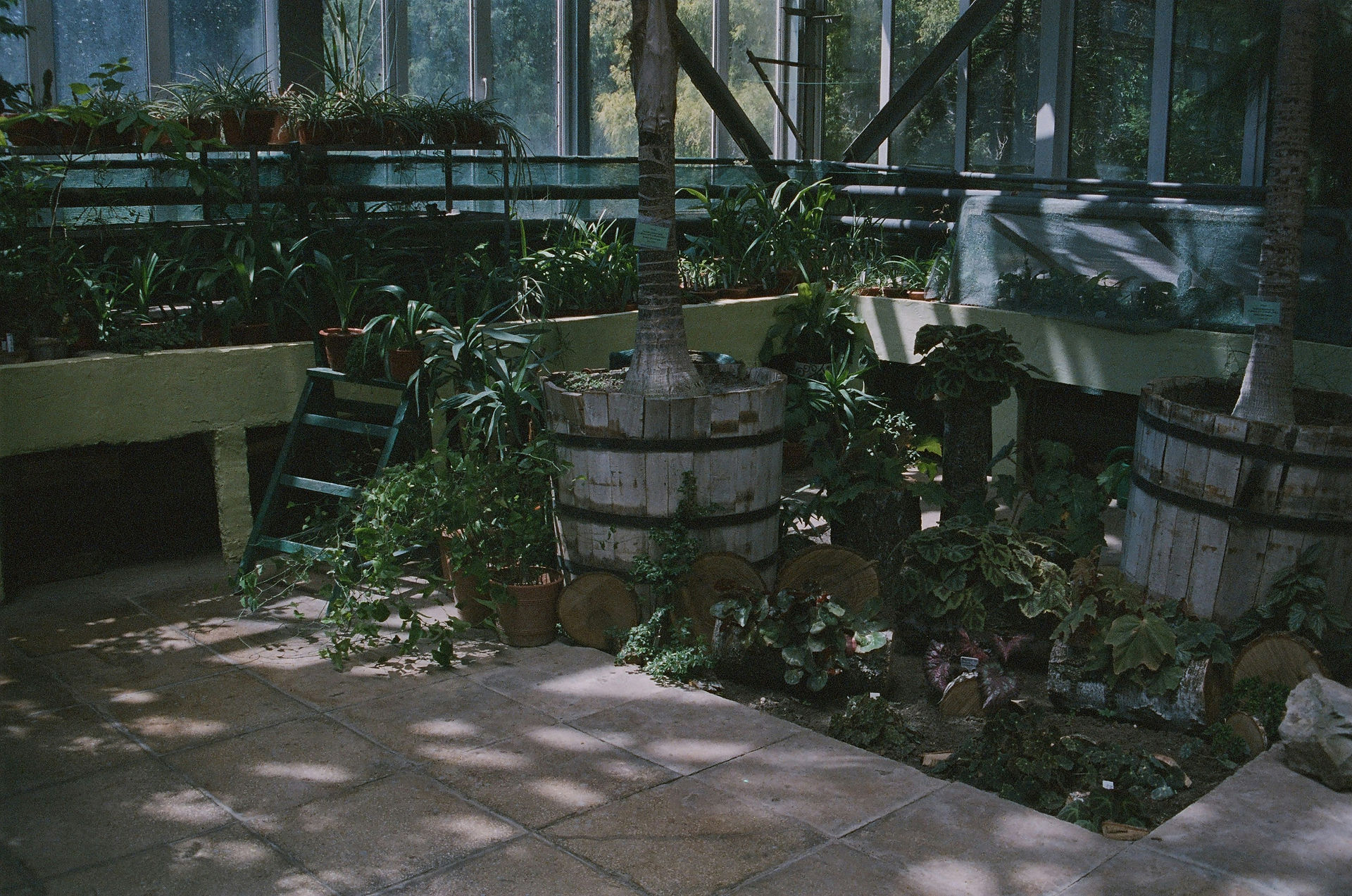The indoor interior of a rustic plant nursery and propagation greenhouse with natural sunlight streaming through glass panels.