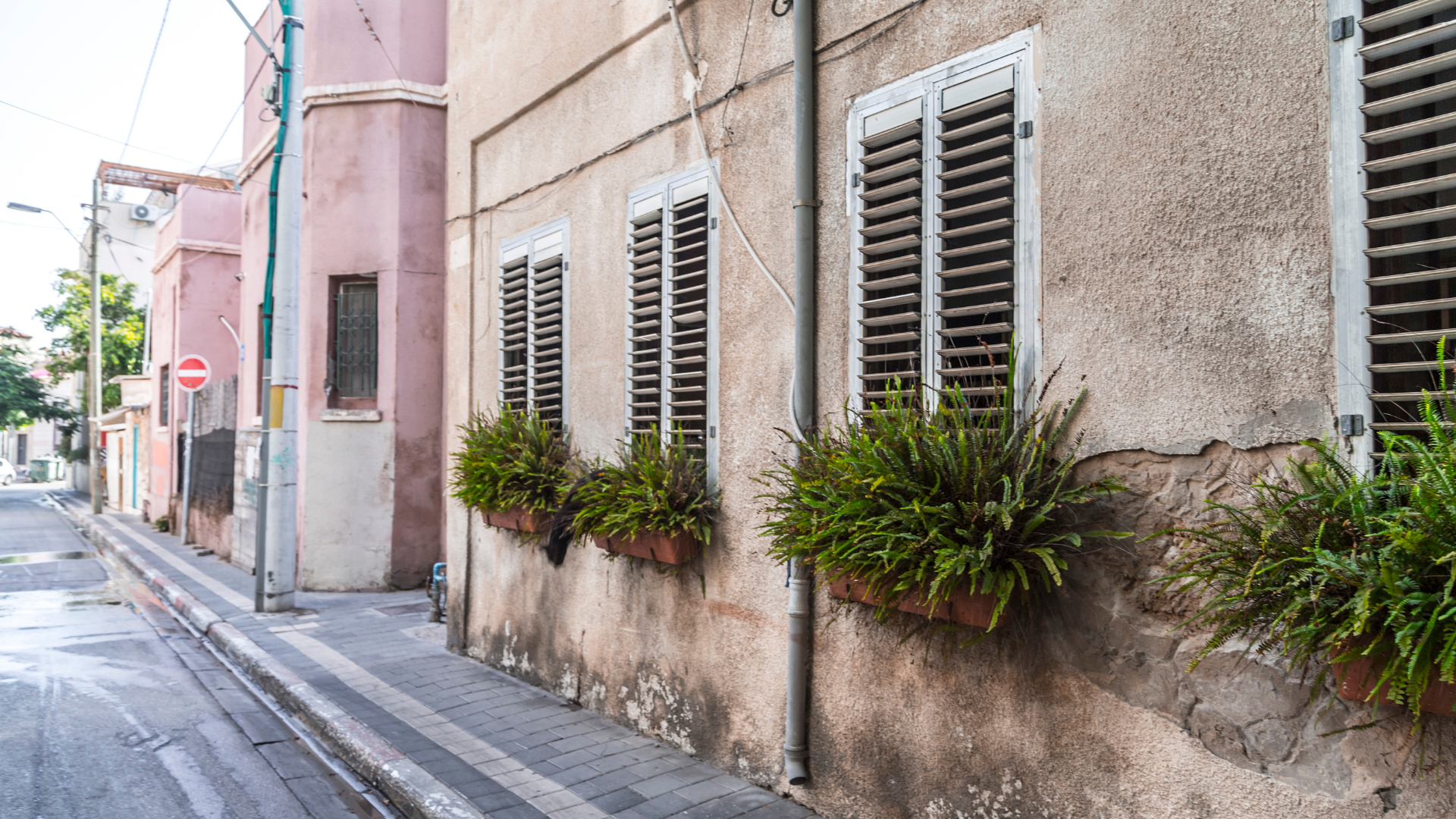 Rustic exterior of a Neve Tzedek building with green window box plants and traditional grey shutters.