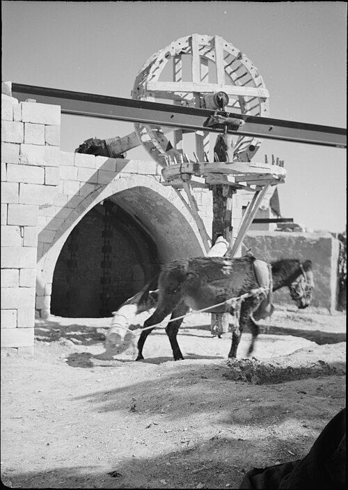 Historic archive photo of Abraham's Well in Be'er Sheva featuring an ancient donkey-powered irrigation wheel.