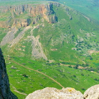 Lush green landscape of the Arbel nature reserve in the springtime.