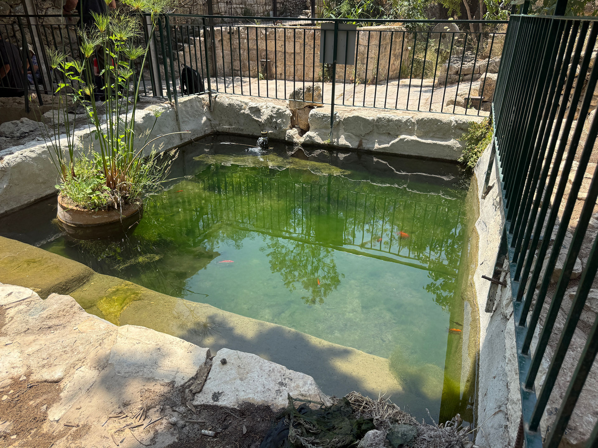 The ancient spring at Ein Yael. A stone-lined pool reflecting the surrounding greenery, part of the Roman-era irrigation system in the Refaim Valley.