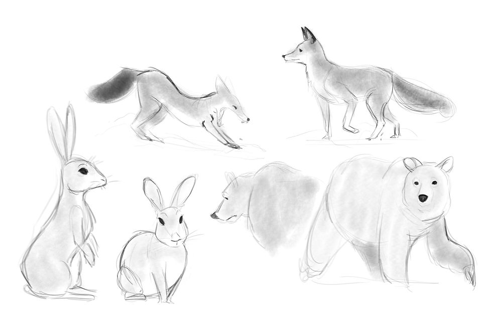 Animal Studies