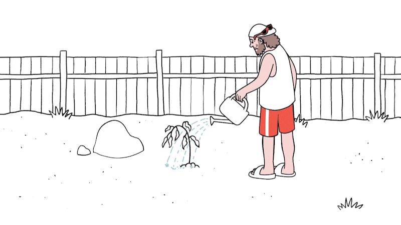 angithat_landscaping_1.gif