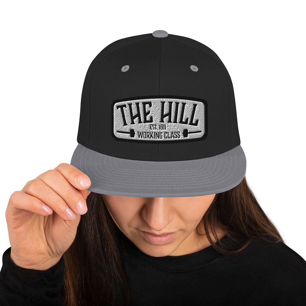 Thumbnail: the hill logo snap back.