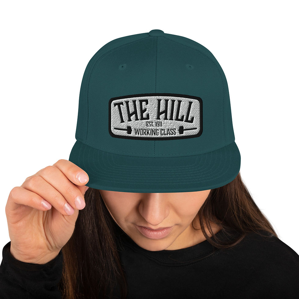 Thumbnail: the hill logo snap back.