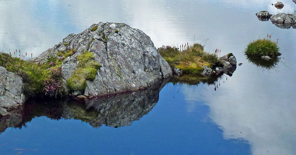 Rock Pool