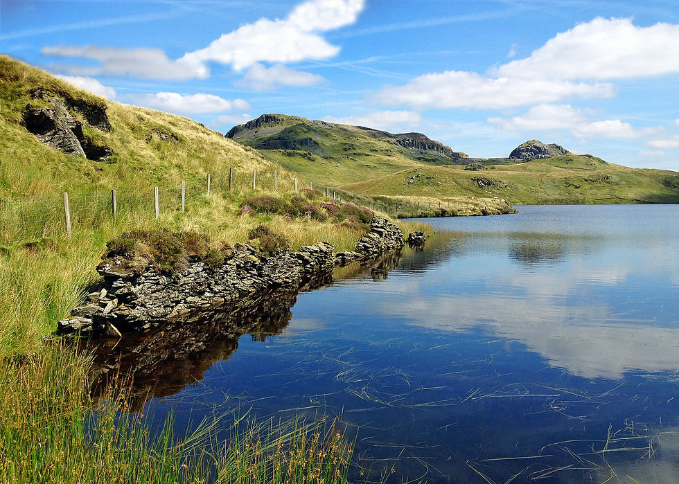 Llyn Morwinion