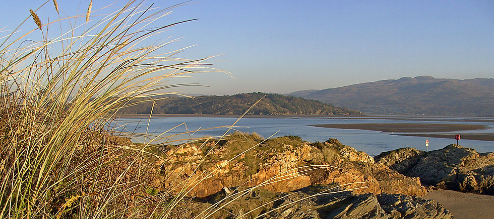 Borth-y-Gest Grass