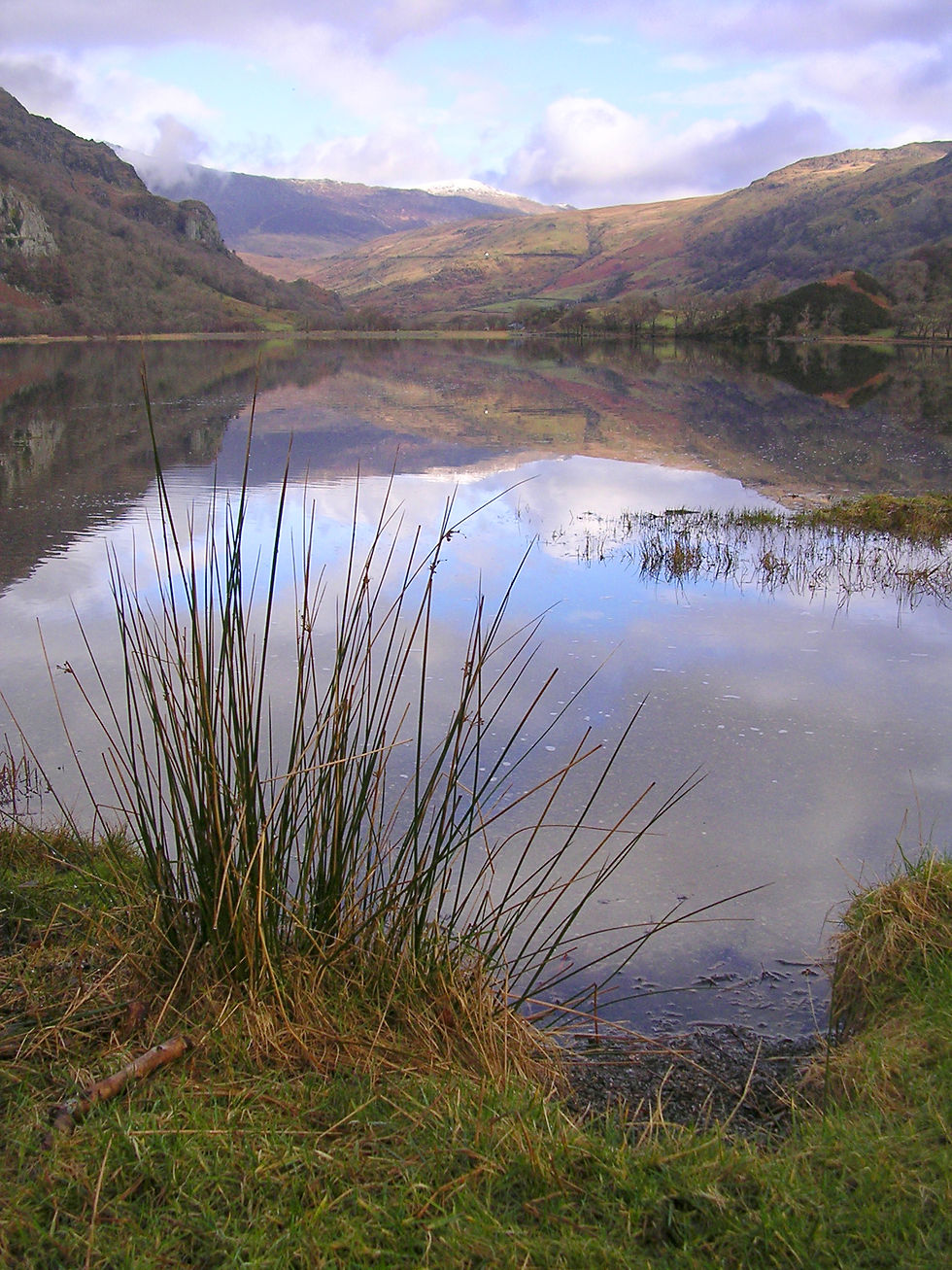 Gwynant in Winter