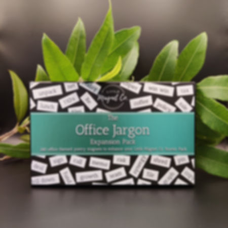 CLEARANCE The Office Jargon Expansion Pack / Poetry Magnets