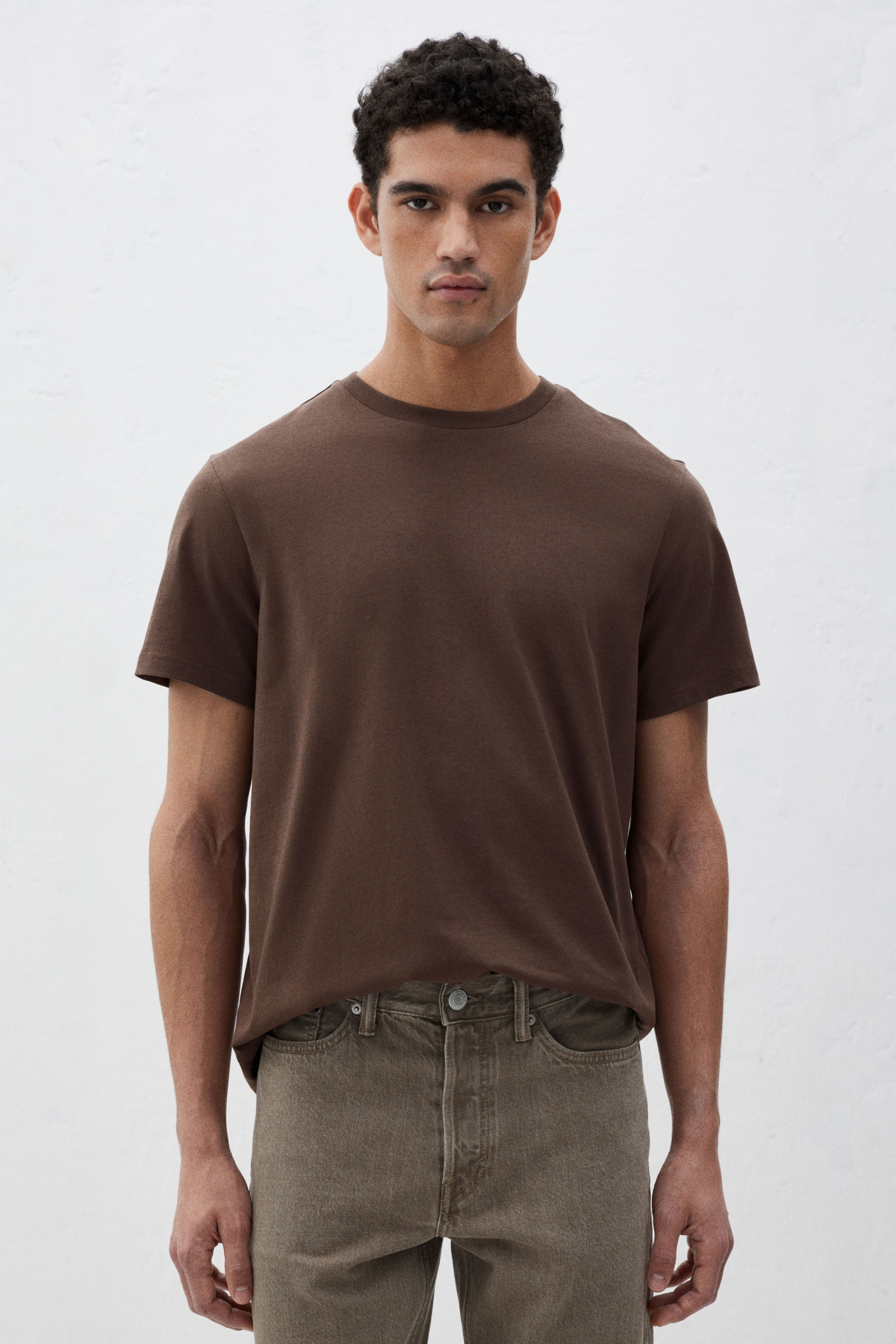 Regular Fit Brown T-shirt for Men - Classic Comfort Style
