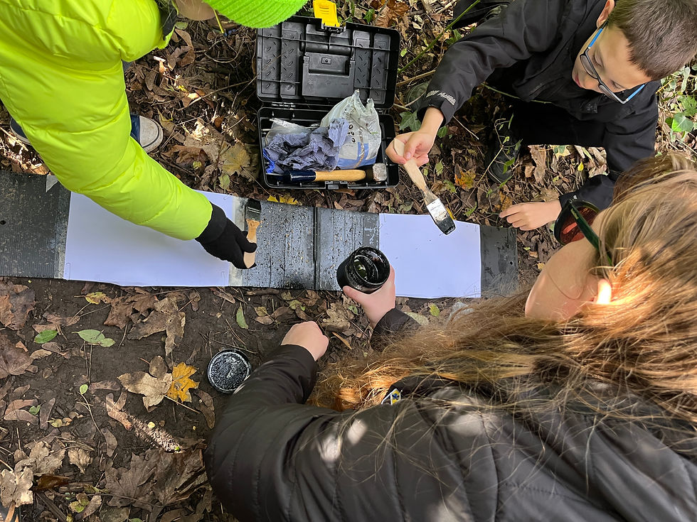 Citizen Science - Vivian Park