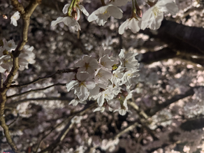 春から始める「暑さ対策」