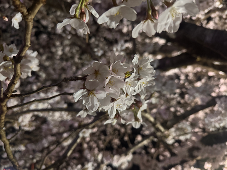 春から始める「暑さ対策」