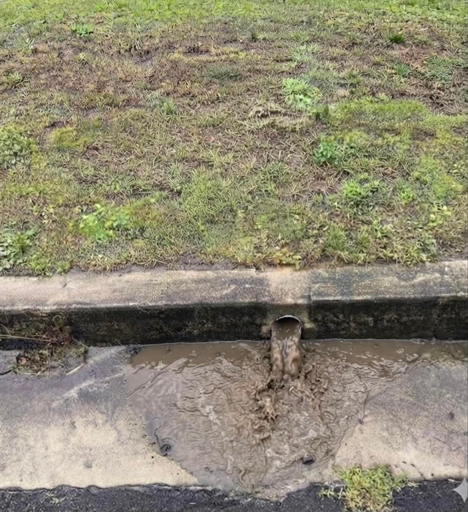 Dirty wash water running into a stormwater drain on a driveway