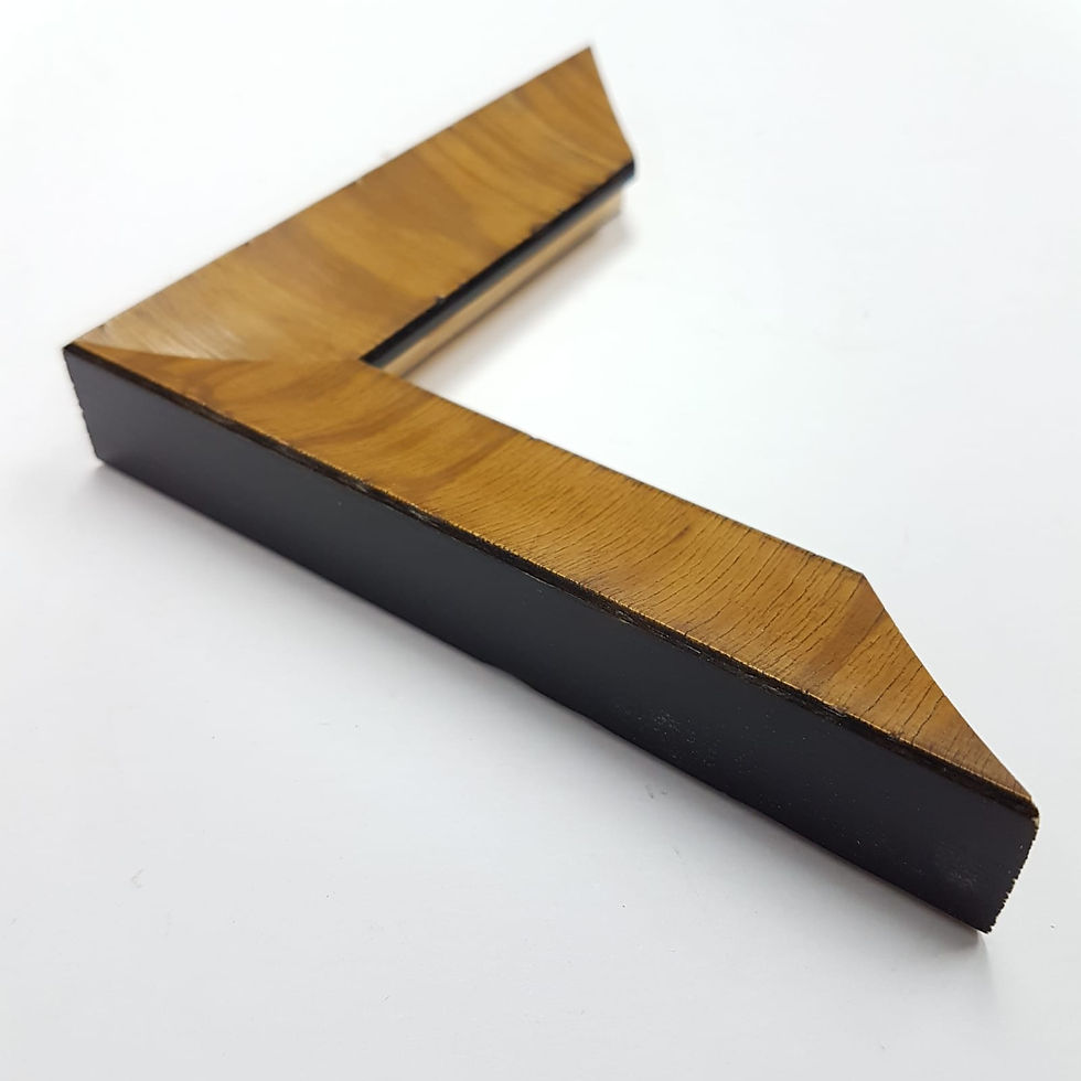 R3022-GI