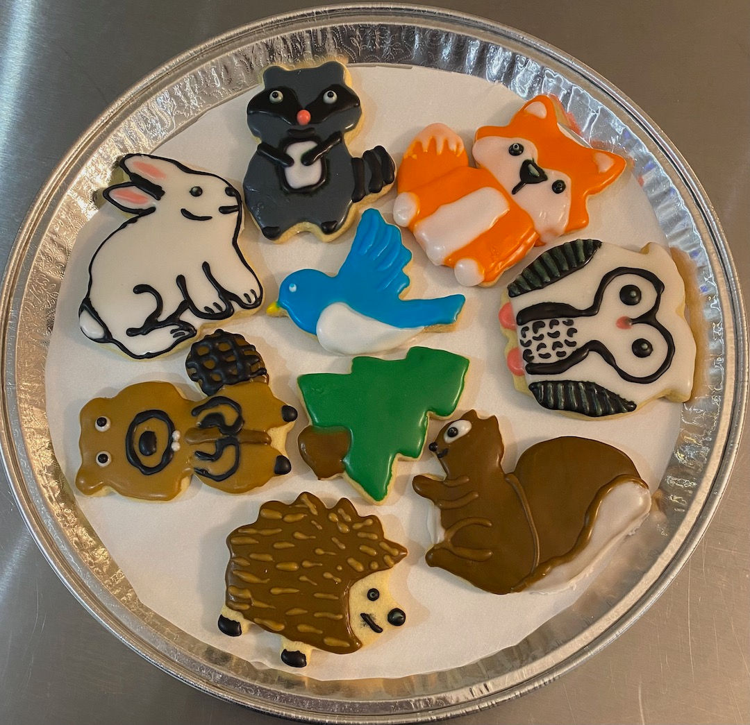 Woodland Theme Character Sugar Cookies