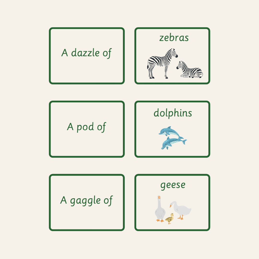 Matching Cards - Collective Nouns KS2