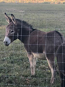 72VoiMg3SJi8jcTp4uLcWQ.jpg