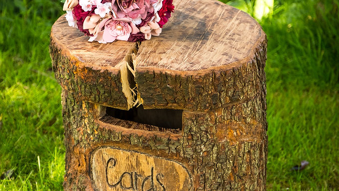 Card Box - Rustic Woodland Hollow Log
