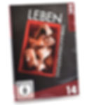 DVD Produktion DVD-Box