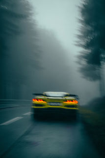 gelber Sportwagen in dunklem Nadelwald