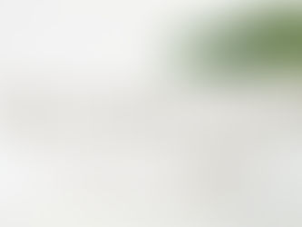 You’re Not Late, You’re Between | The Sunday Reset, Vol. 8