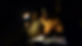 2023 Lights4Literacy.jpg