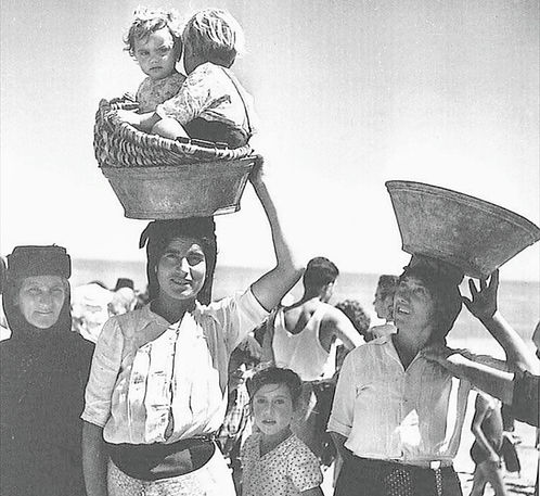 Foto arquivo praia da vieira, cultura e pesca