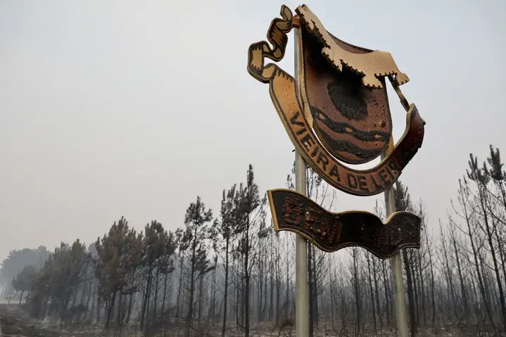 incêndio pinhal do rei vieira de leiria