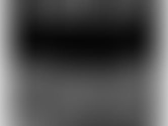 Alasdair Gray 'A Life In Progress'