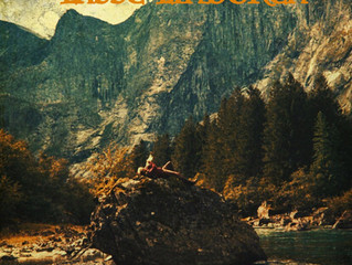 Lasse Lingren LP out now on Sleepy Night Records