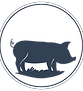 PORCO-PNG.png