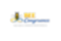 BEE Congruence 1 LOGO vectoriel.png