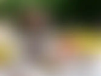 FIATアフタヌーンティー🫖