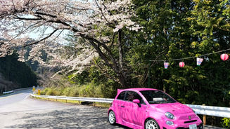 桜が見頃の季節に🌸春のドライブ&メンテナンスのご案内🚗✨