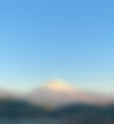新年のご挨拶