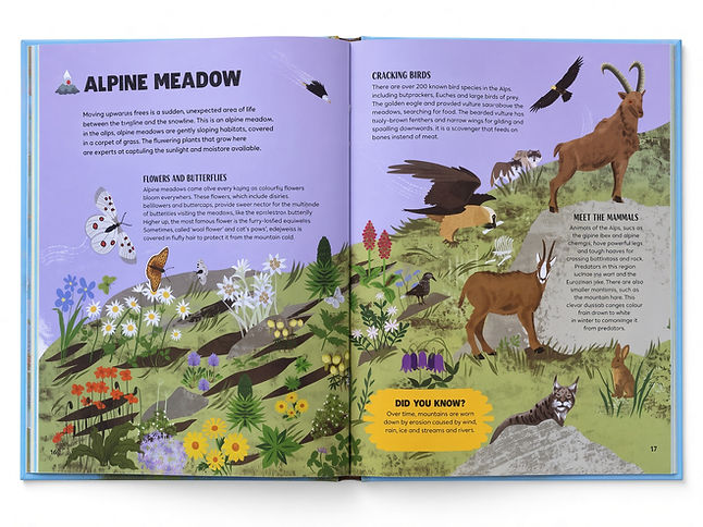 alpine meadow