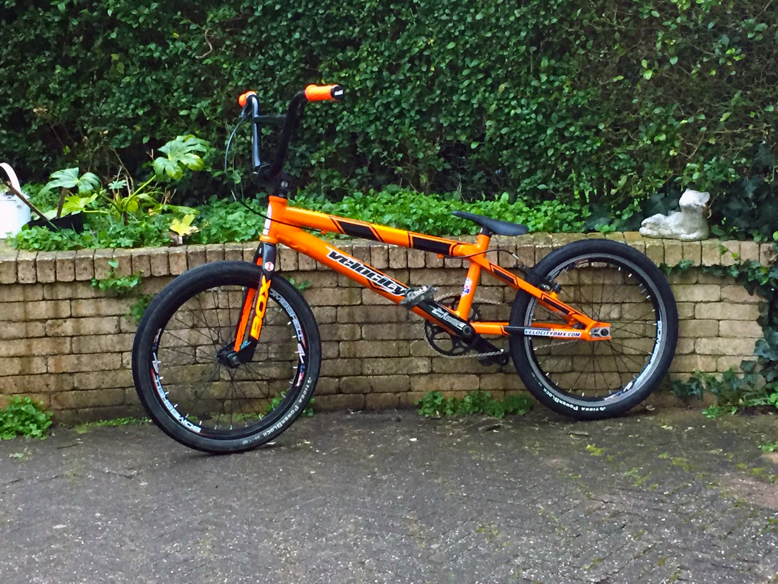 Custom Striker Orange