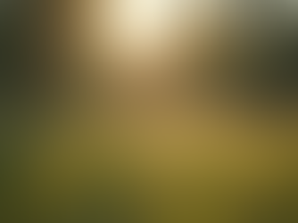 Fotografia emocjonalna: Twój moment uwieczniony w kadrze