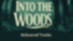 Into the Woods Rehearsal Tracks cover – forest background with stylised title and product label