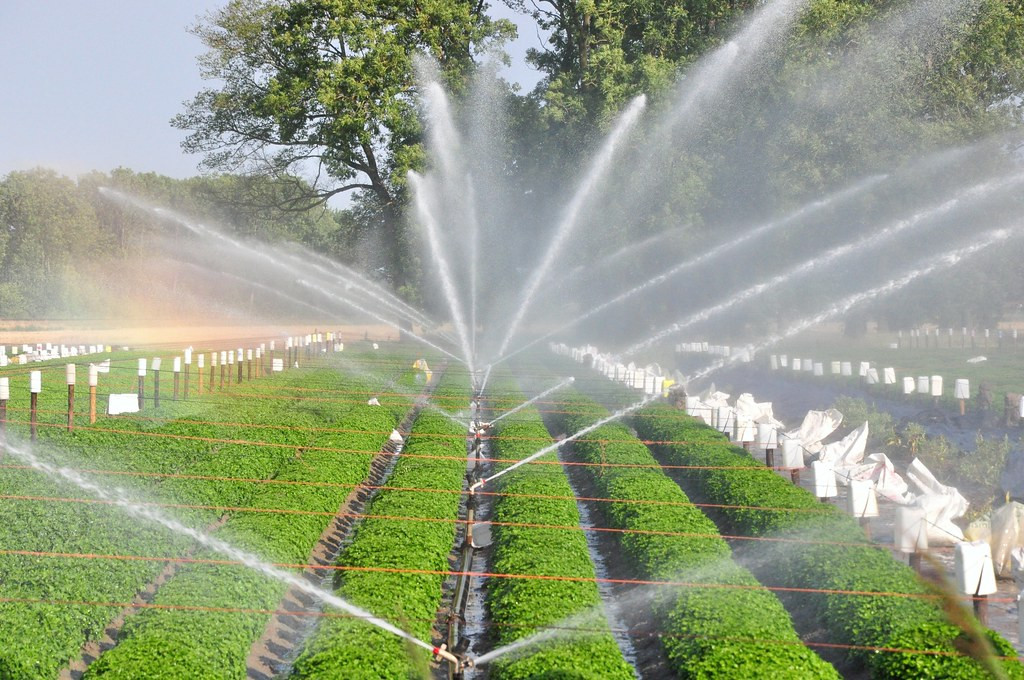 irrigation Blenheim