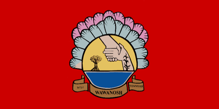 wawanosh insurance.gif