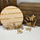 Thumbnail: DIY Dragonfly Round